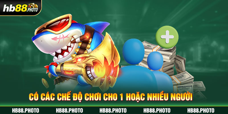 Có các chế độ chơi cho 1 hoặc nhiều người