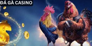 Đá Gà Casino - Đấu Trường Máu Lửa Với Cơ Hội Vàng