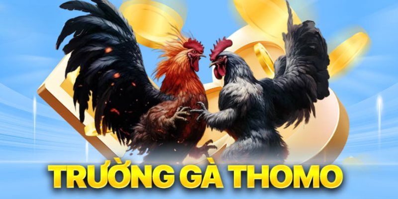 Thông tin về đá gà Thomo