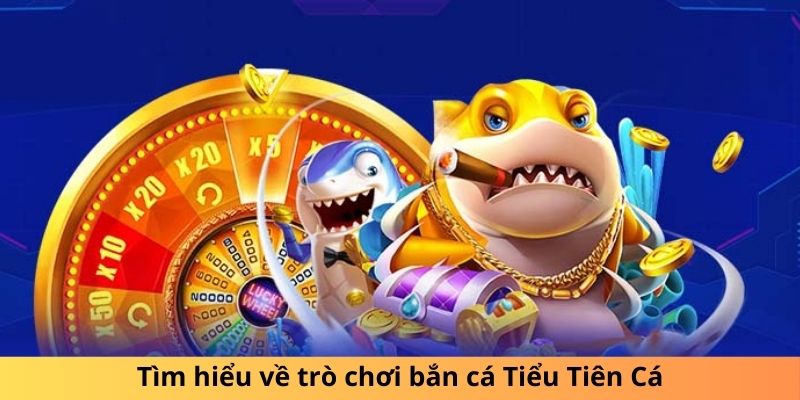 Khám phá khái quát game bắn cá Tiểu Tiên Cá